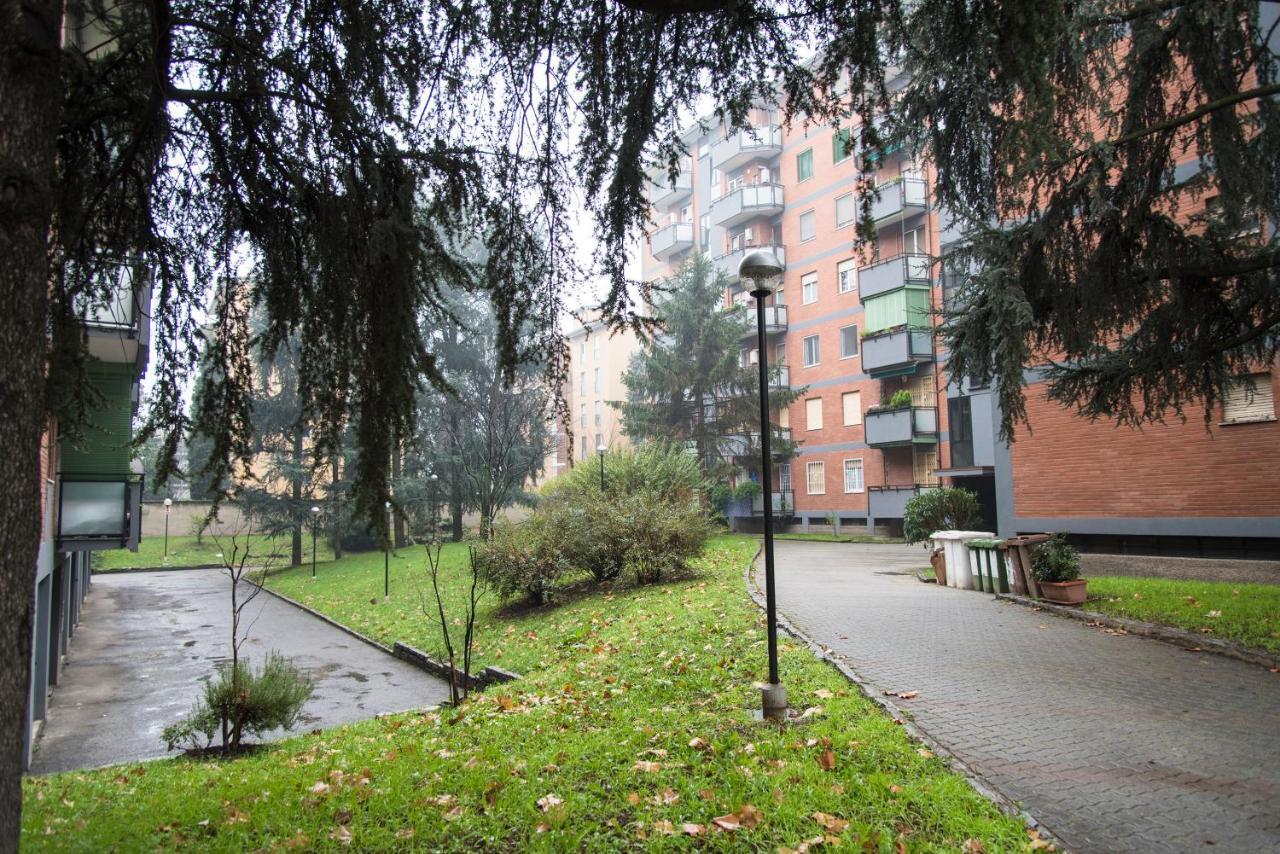 Youhosty - Cardellino 55 *